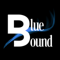 Blue Bound Marketing